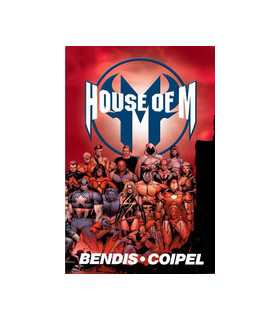 MARVEL MUST-HAVE. DINASTIA DE M