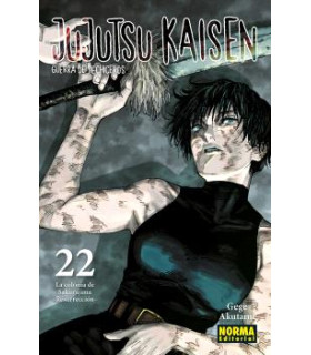 JUJUTSU KAISEN 22