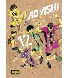 AO ASHI 12