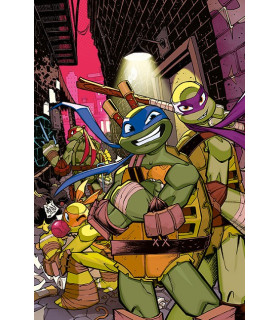 LAS ASOMBROSAS AVENTURAS DE LAS TORTUGAS NINJA NÚM. 13