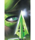 GREEN ARROW: CARCAJ (GRANDES NOVELAS GRÁFICAS DE DC)