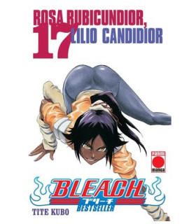 BLEACH BESTSELLER 17