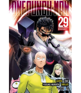 ONE PUNCH-MAN 29