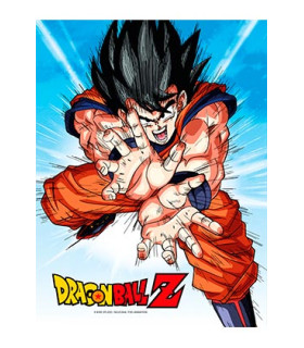POSTER DE VIDRIO GOKU KAME DRAGON BALL Z 30X40 CM