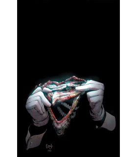 BATMAN: EL TRIBUNAL DE LOS BÚHOS - LA SAGA COMPLETA VOL. 2 DE 2