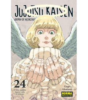 JUJUTSU KAISEN 24