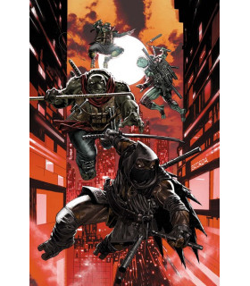 LAS TORTUGAS NINJA: EL ÚLTIMO RONIN II - REEVOLUCIÓN NÚM. 1 DE 5