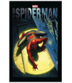 YO SOY SPIDERMAN
