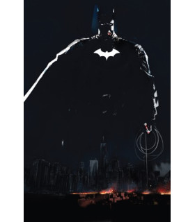 BATMAN: UN CABALLERO OSCURO