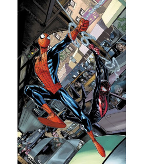 LOS ESPECTACULARES SPIDERMEN 01