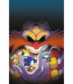 SONIC THE HEDGEHOG SOBRECARGA