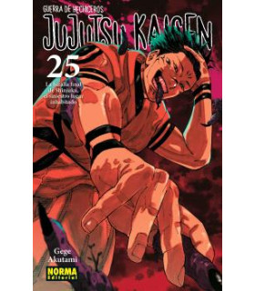 JUJUTSU KAISEN 25