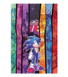 SONIC THE HEDGEHOG 07 TODO O NADA (BIBLIOTECA SUPER KODOMO)