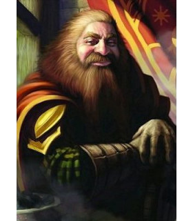 FUNDAS ILUSTRADAS FFG GIMLI