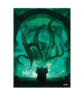 FUNDAS ILUSTRADAS FFG THE SUMMONING