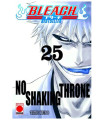 BLEACH BESTSELLER 25
