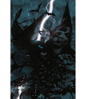 THE BRAVE AND THE BOLD. BATMAN: LA CARTA GANADORA