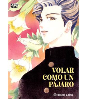 VOLAR COMO UN PÁJARO