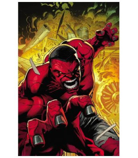 HULK ROJO 01